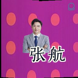 张航